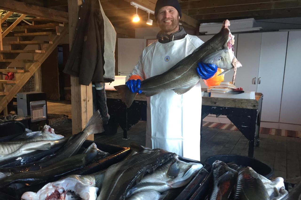 Kalle I Lofoten Kabelvåg Екстериор снимка